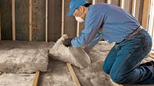 Best Blown-In Insulation  in Kotzebue, AK